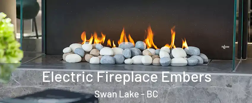  Electric Fireplace Embers Swan Lake - BC