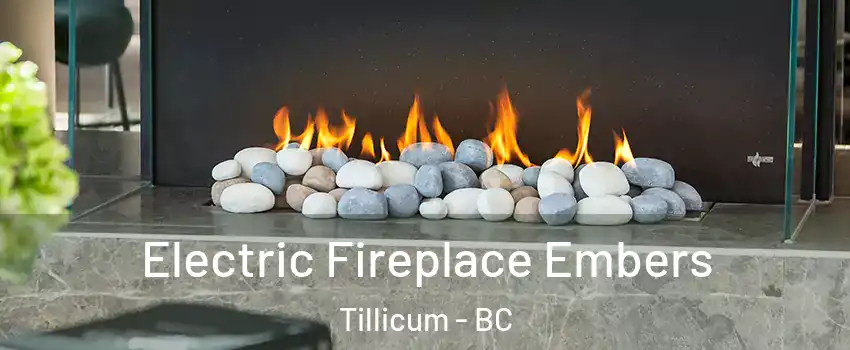  Electric Fireplace Embers Tillicum - BC