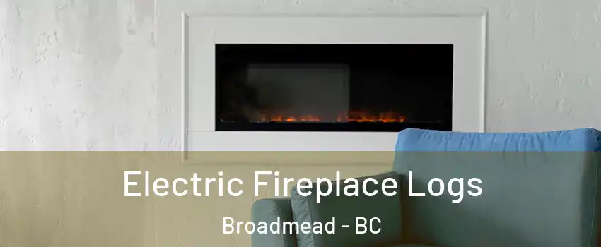  Electric Fireplace Logs Broadmead - BC