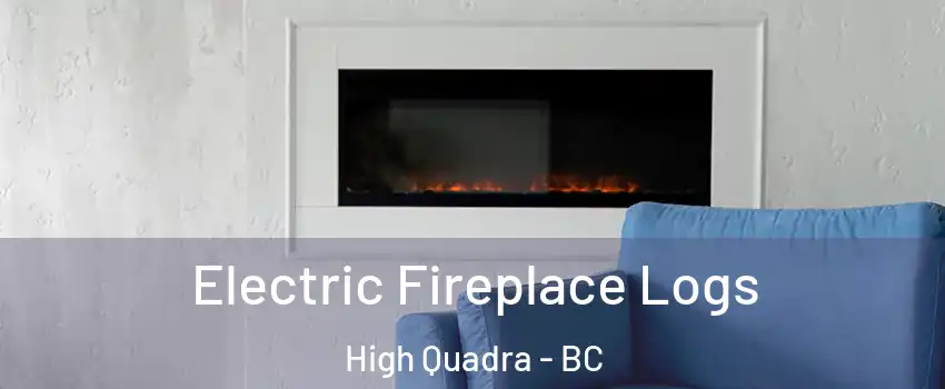  Electric Fireplace Logs High Quadra - BC