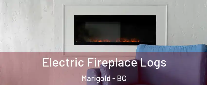  Electric Fireplace Logs Marigold - BC