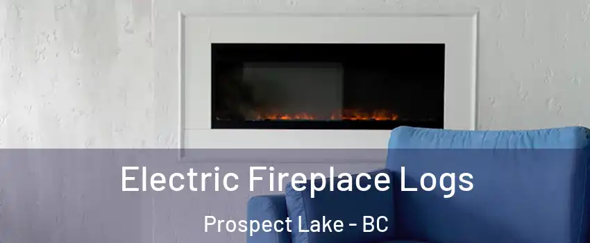  Electric Fireplace Logs Prospect Lake - BC
