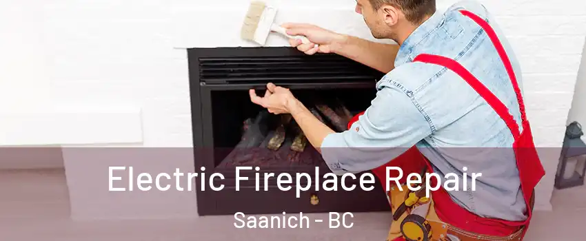  Electric Fireplace Repair Saanich - BC