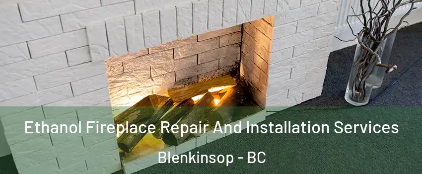  Ethanol Fireplace Repair And Installation Services Blenkinsop - BC