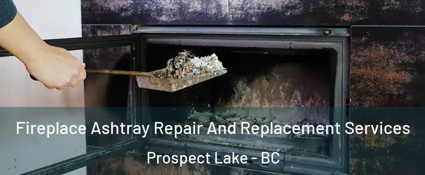  Fireplace Ashtray Repair And Replacement Services Prospect Lake - BC
