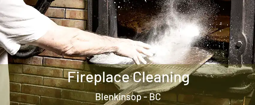  Fireplace Cleaning Blenkinsop - BC