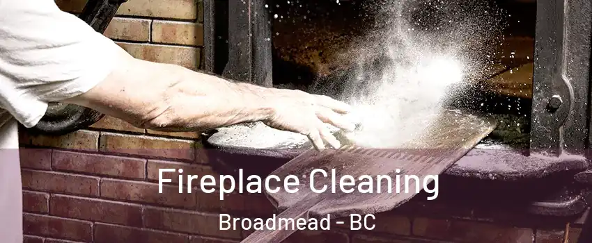  Fireplace Cleaning Broadmead - BC