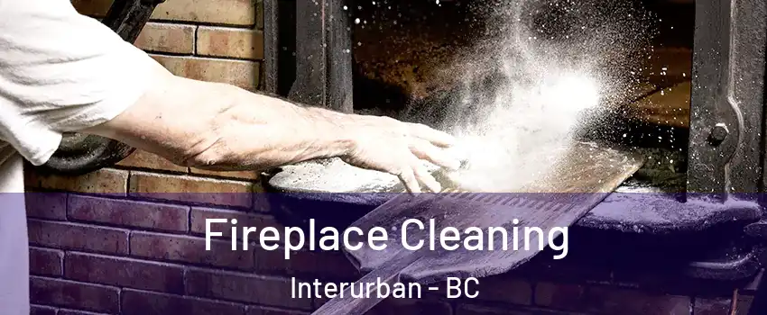  Fireplace Cleaning Interurban - BC