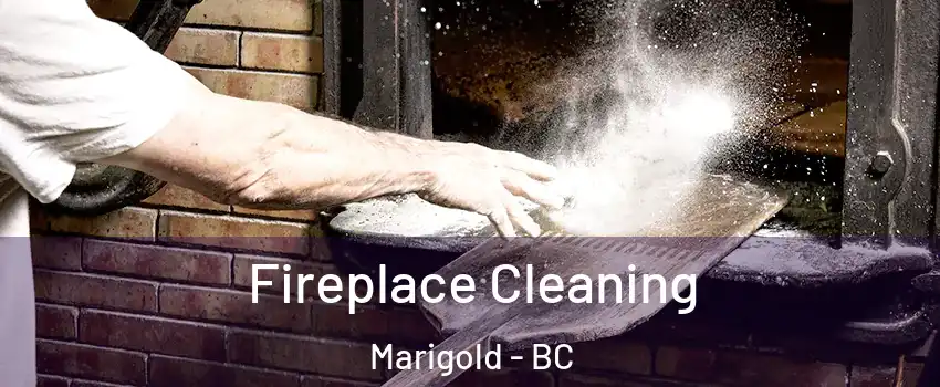  Fireplace Cleaning Marigold - BC