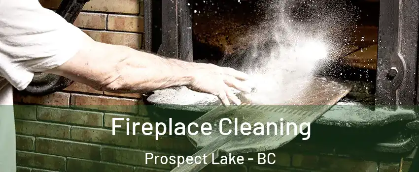 Fireplace Cleaning Prospect Lake - BC