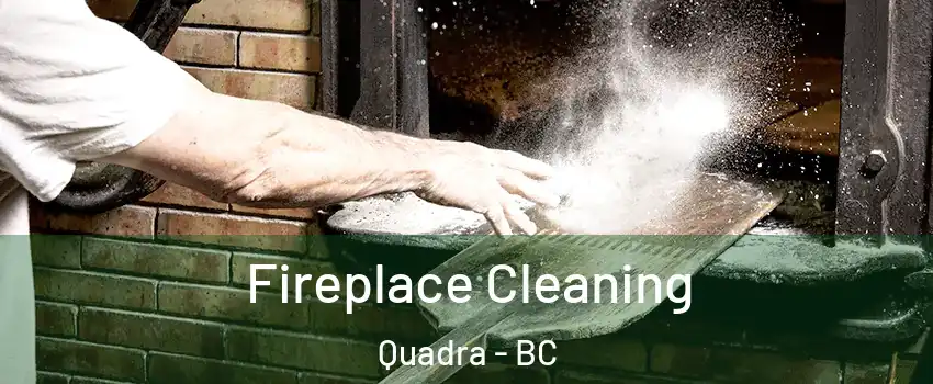  Fireplace Cleaning Quadra - BC