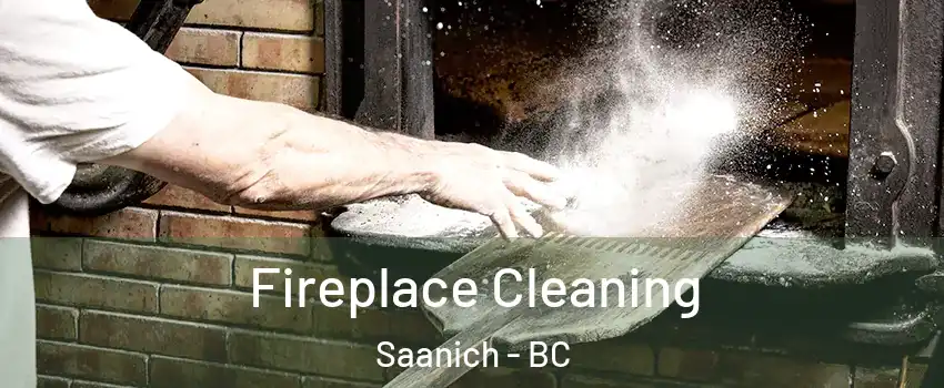  Fireplace Cleaning Saanich - BC