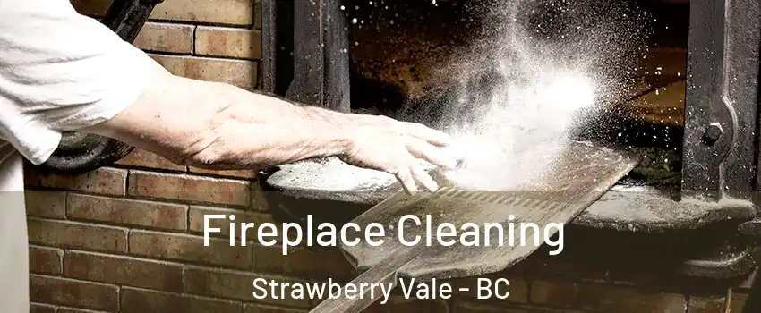  Fireplace Cleaning Strawberry Vale - BC
