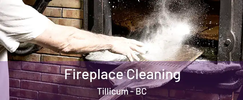  Fireplace Cleaning Tillicum - BC