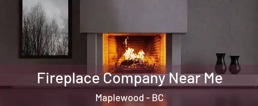  Fireplace Company Near Me Maplewood - BC