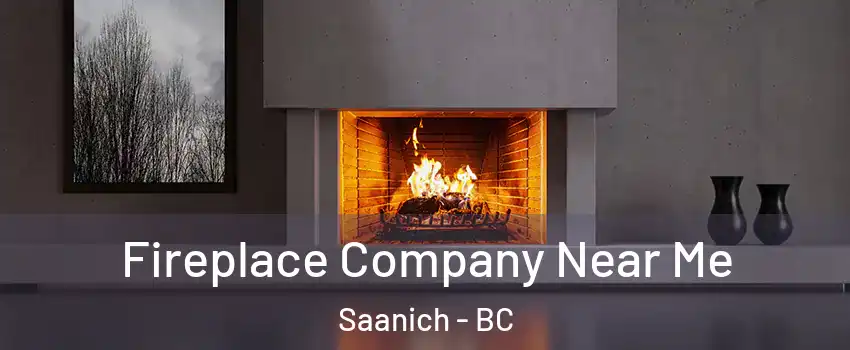 Fireplace Company Near Me Saanich - BC
