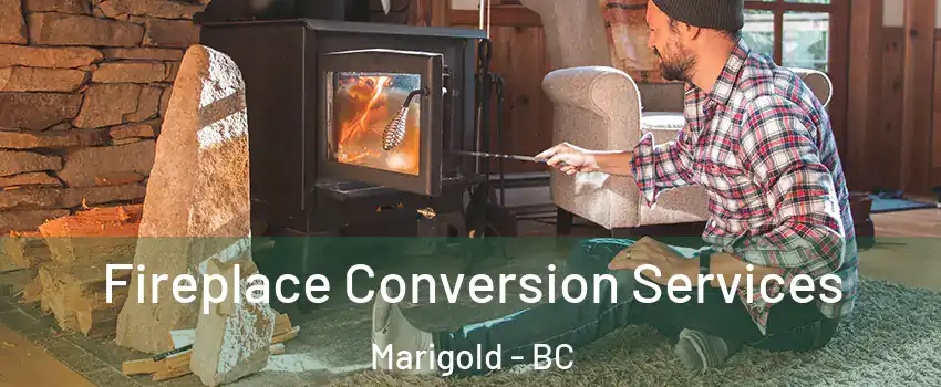  Fireplace Conversion Services Marigold - BC
