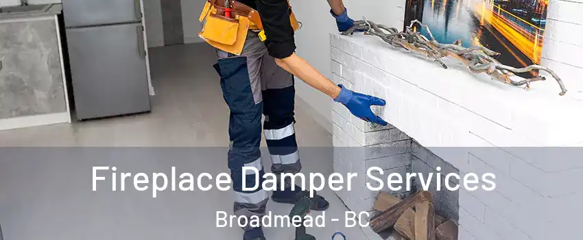  Fireplace Damper Services Broadmead - BC