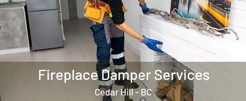  Fireplace Damper Services Cedar Hill - BC