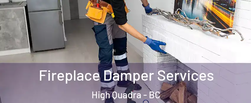  Fireplace Damper Services High Quadra - BC