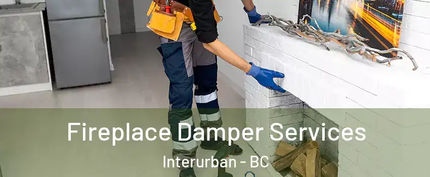  Fireplace Damper Services Interurban - BC