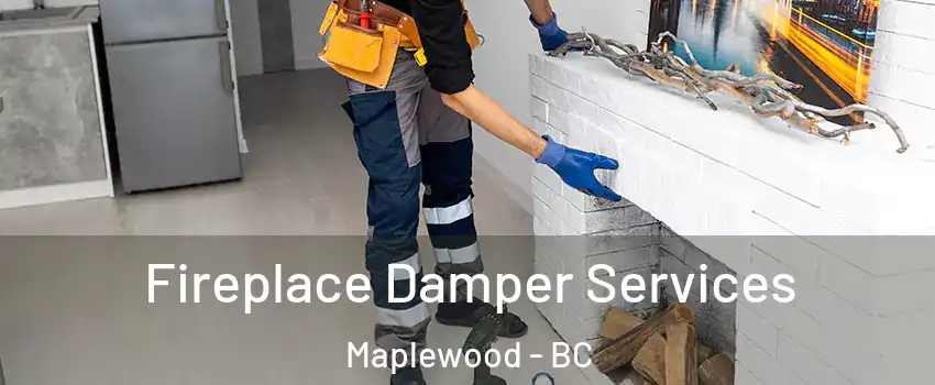  Fireplace Damper Services Maplewood - BC