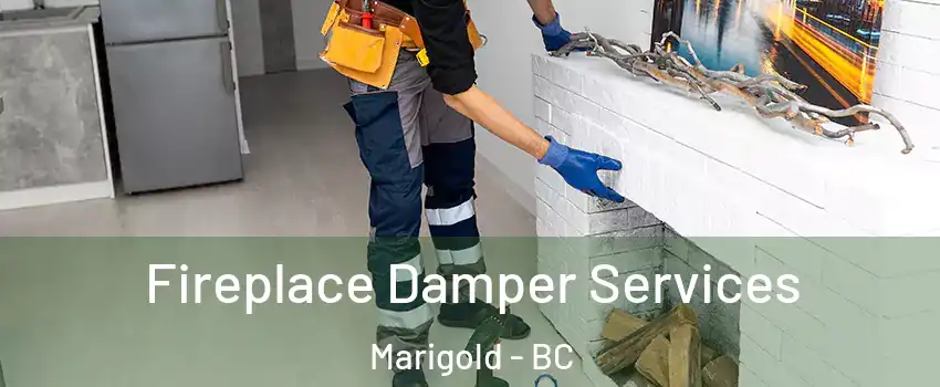 Fireplace Damper Services Marigold - BC