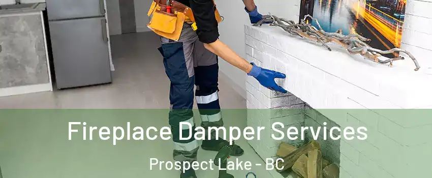  Fireplace Damper Services Prospect Lake - BC