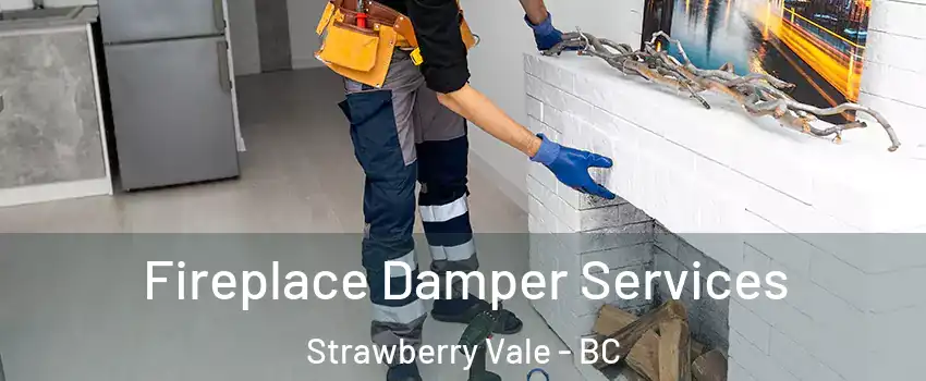  Fireplace Damper Services Strawberry Vale - BC