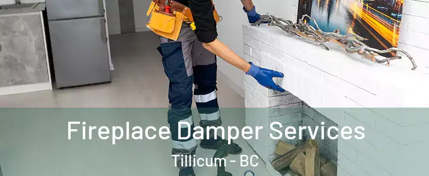  Fireplace Damper Services Tillicum - BC