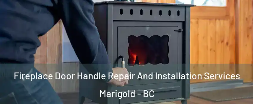  Fireplace Door Handle Repair And Installation Services Marigold - BC