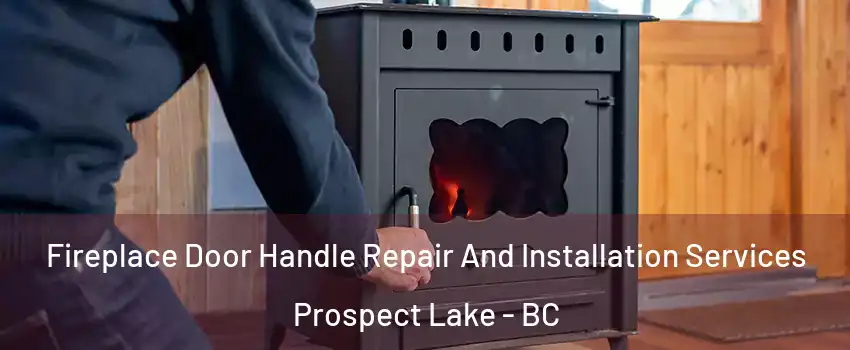  Fireplace Door Handle Repair And Installation Services Prospect Lake - BC