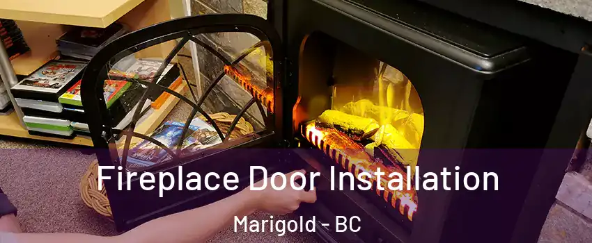 Fireplace Door Installation Marigold - BC