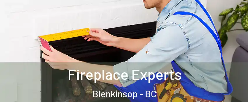  Fireplace Experts Blenkinsop - BC