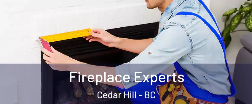 Fireplace Experts Cedar Hill - BC