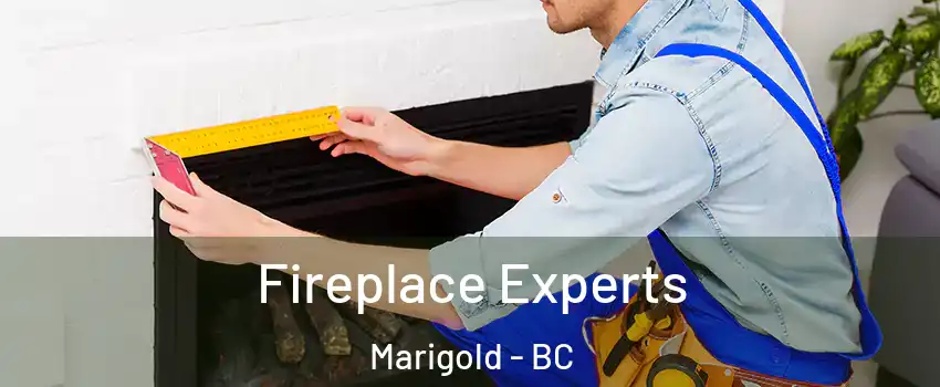  Fireplace Experts Marigold - BC