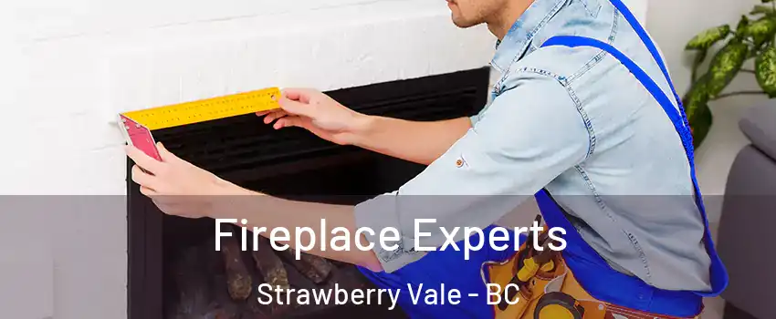  Fireplace Experts Strawberry Vale - BC