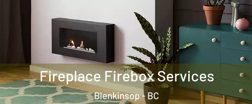  Fireplace Firebox Services Blenkinsop - BC