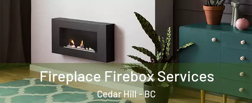 Fireplace Firebox Services Cedar Hill - BC