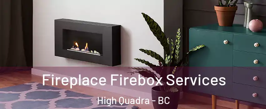 Fireplace Firebox Services High Quadra - BC
