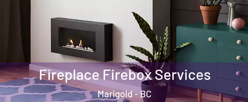  Fireplace Firebox Services Marigold - BC