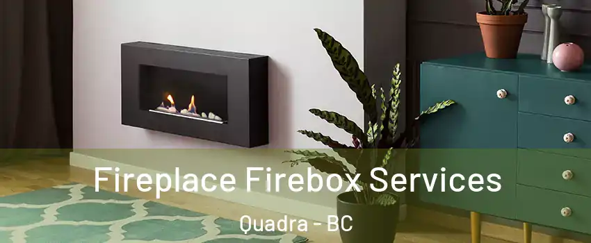  Fireplace Firebox Services Quadra - BC