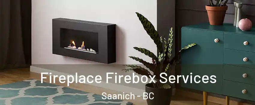  Fireplace Firebox Services Saanich - BC