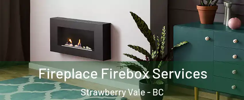  Fireplace Firebox Services Strawberry Vale - BC