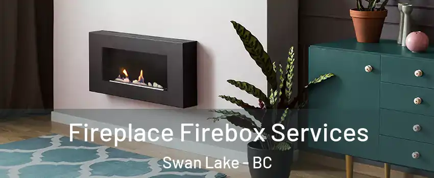  Fireplace Firebox Services Swan Lake - BC