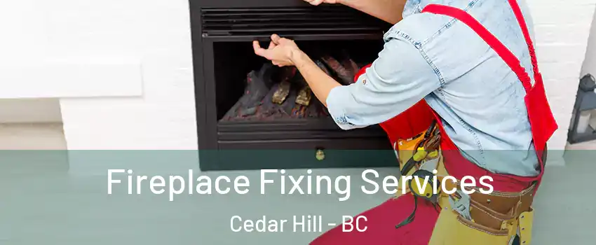 Fireplace Fixing Services Cedar Hill - BC