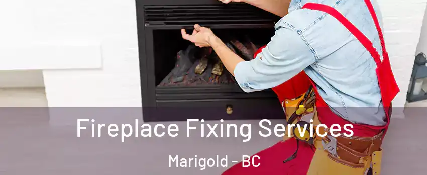  Fireplace Fixing Services Marigold - BC