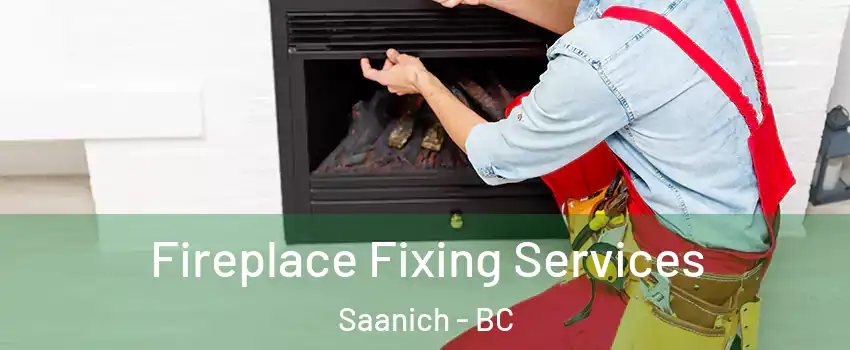 Fireplace Fixing Services Saanich - BC