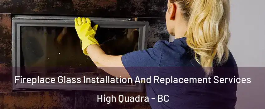  Fireplace Glass Installation And Replacement Services High Quadra - BC