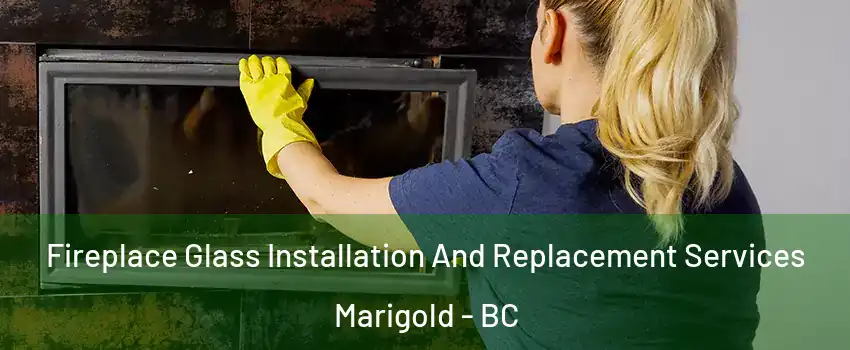 Fireplace Glass Installation And Replacement Services Marigold - BC